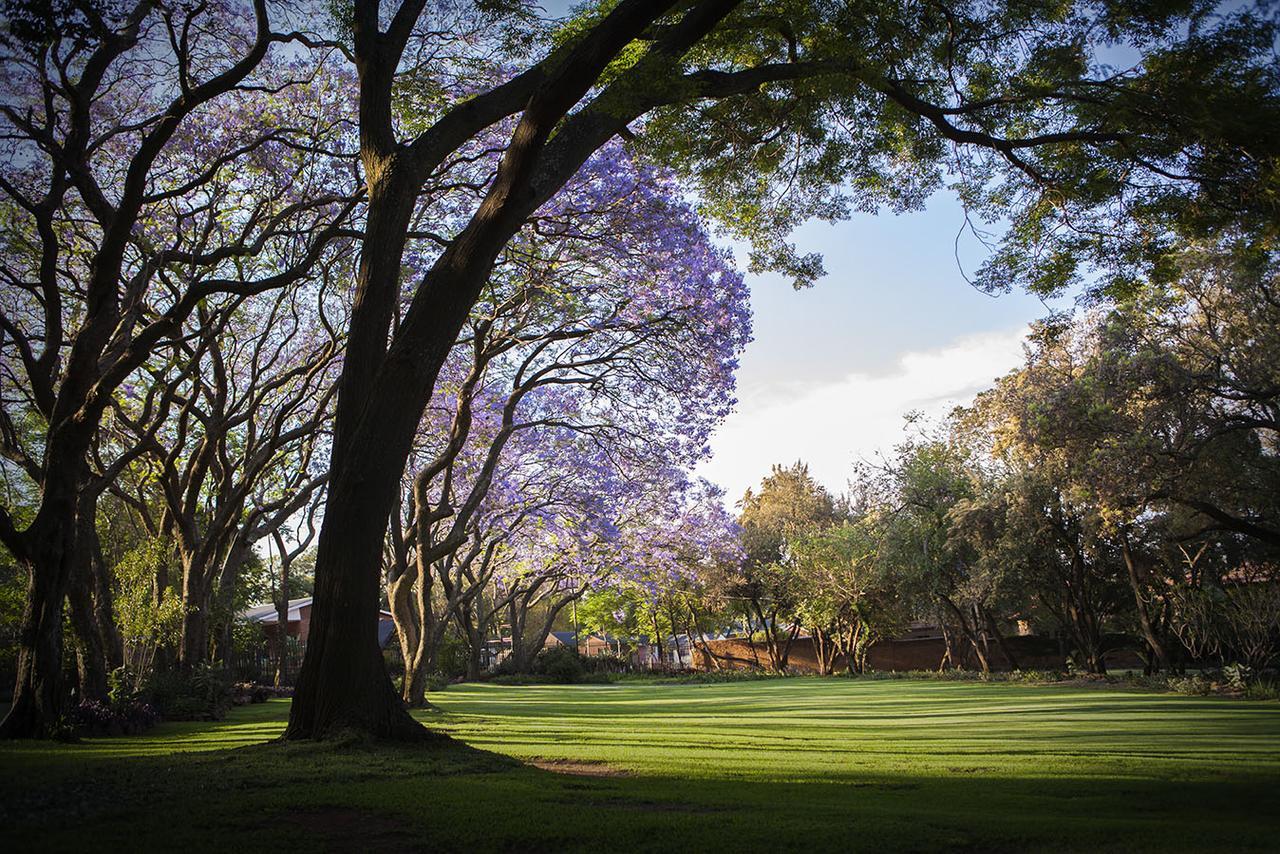 Hotel Pierneef'S Kraal à Pretoria-Noord Extérieur photo