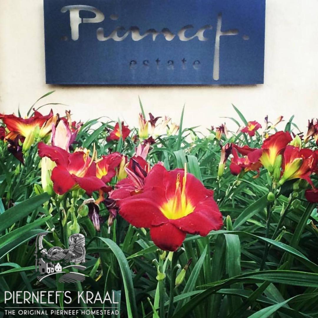 Hotel Pierneef'S Kraal à Pretoria-Noord Extérieur photo